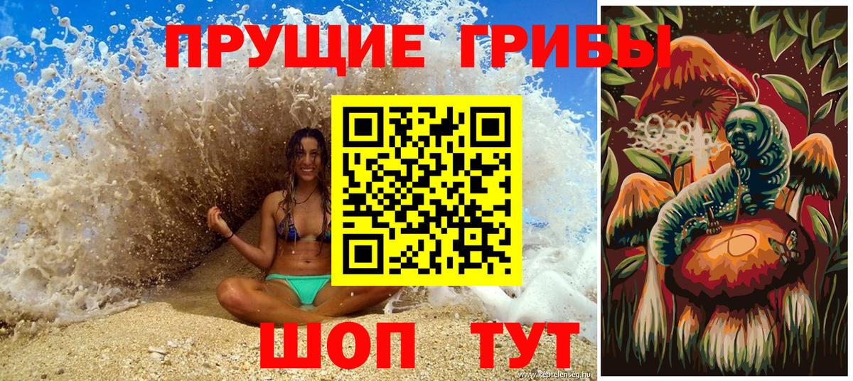 Псилоцибиновые грибы Psilocybe Волгоград